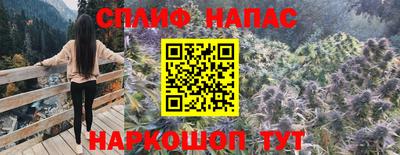 спайс Гусев