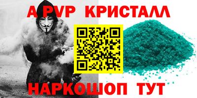 спайс Гусев