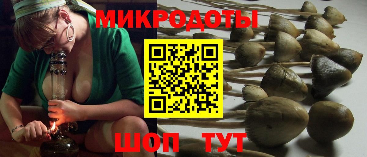 Галлюциногенные грибы мицелий Назарово